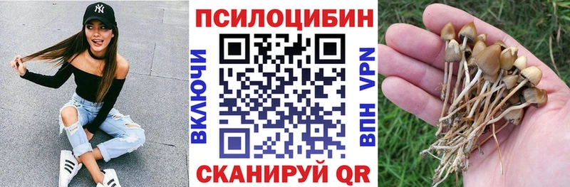 Купить закладки  Певек  Галлюциногенные грибы ЛСД 